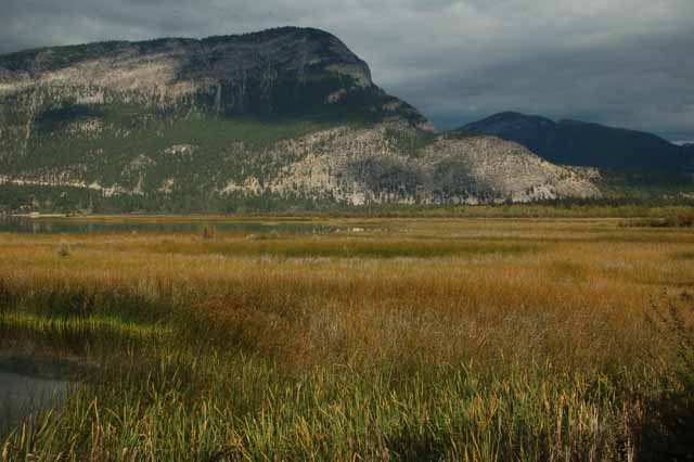 The Canal Flats, south of the Columbia Lake
